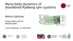 Many-body dynamics of disordered Rydberg spin systems
